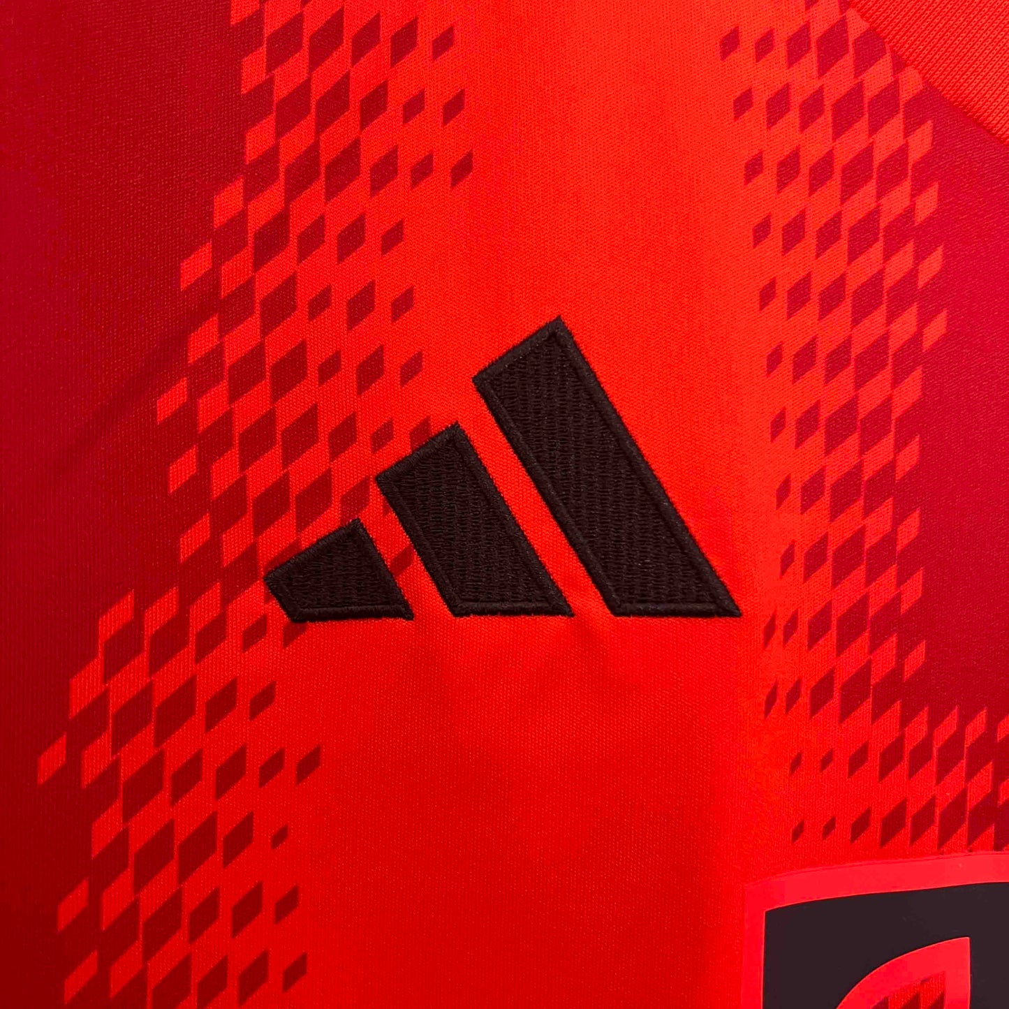 24-25 Bayern Munich Home Kit