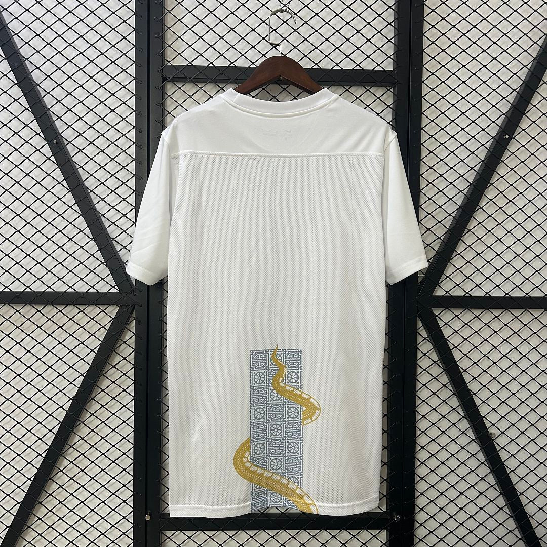 25-26 Tottenham Hotspur Pre-match Kit Soccer