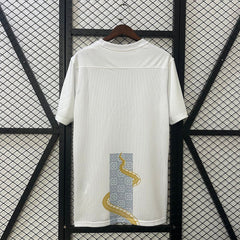 25-26 Tottenham Hotspur Pre-match Kit Soccer