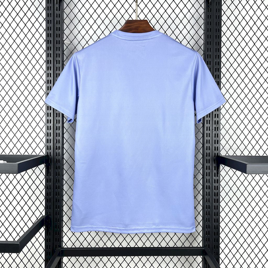 Brazil 2025/26 Light purple Jersey