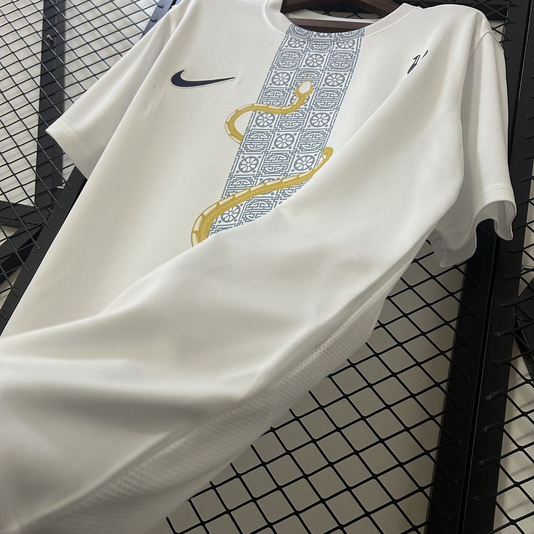 25-26 Tottenham Hotspur Pre-match Kit Soccer