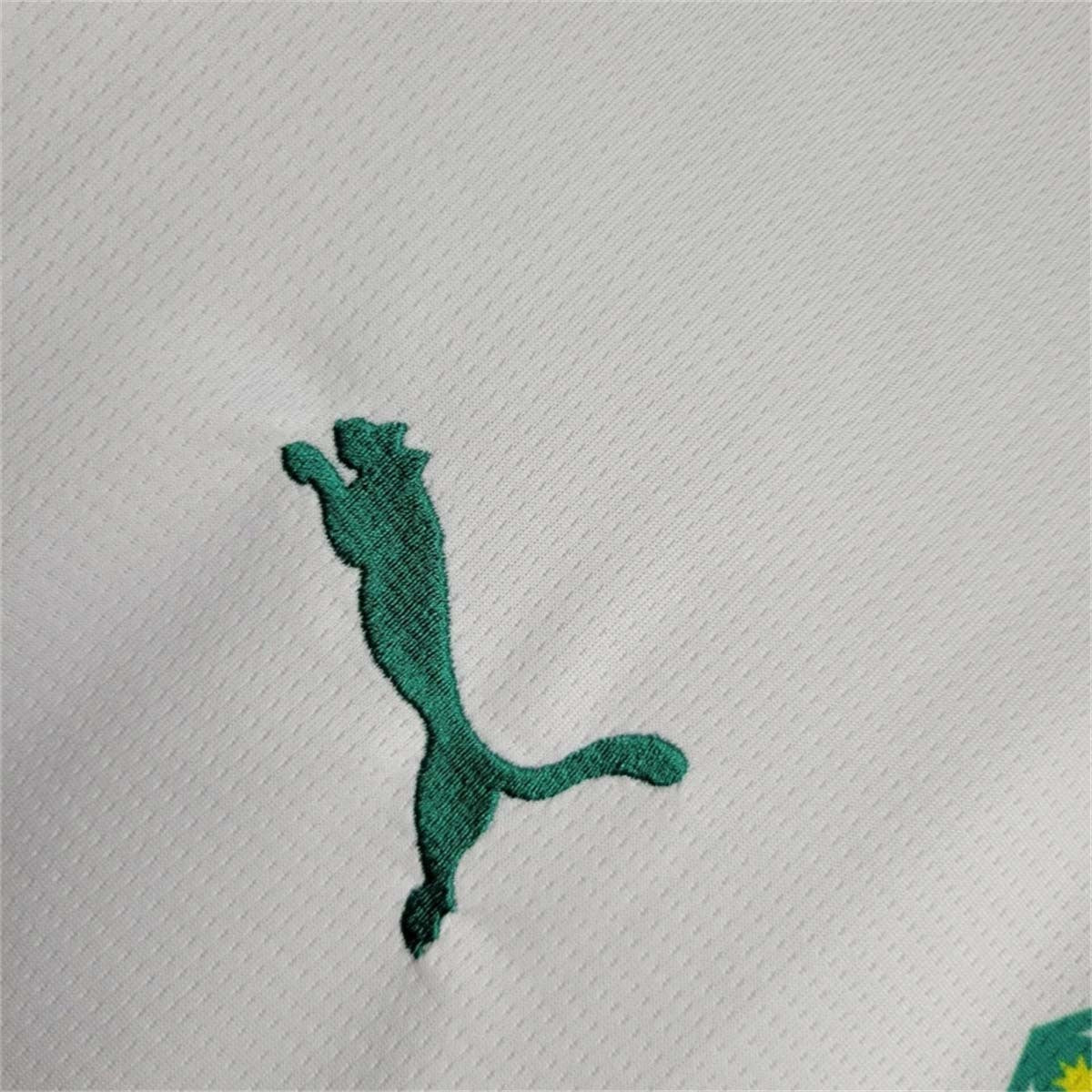 24-25 Senegal Home Shirt